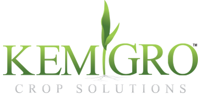 Kemgro Crop Solutions header logo large.