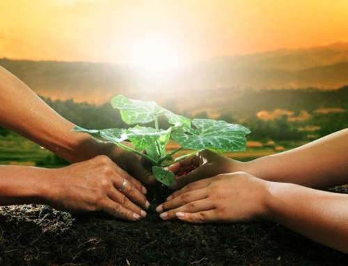 What role does organic soil play in our lives?